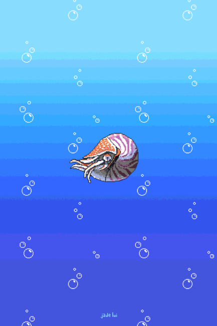 Pixel Nautilus