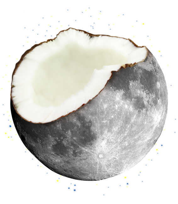 coconuts moon by kiryadi