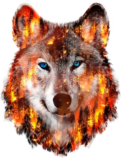 wolf escape from hill fire