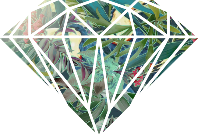 Tropical Diamond