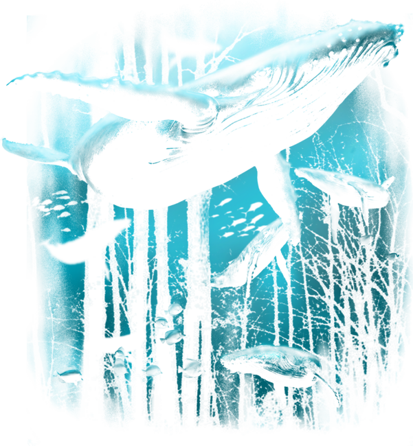Whale Forest