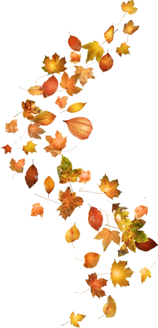 Autumn Leaf Breeze