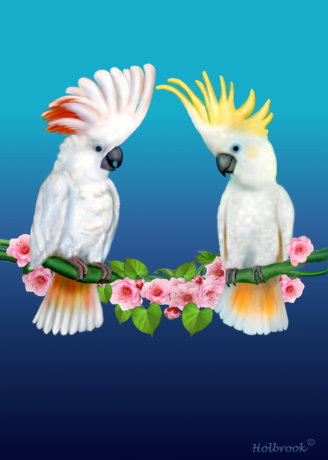 Cockatoo Courtship by HolbrookArt