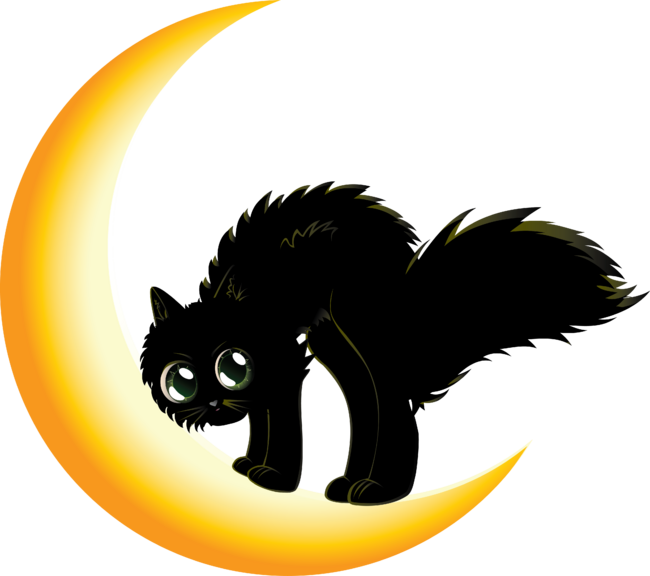 Black Cat on Moon