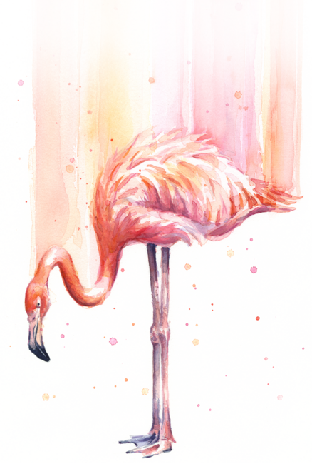 Flamingo Rain