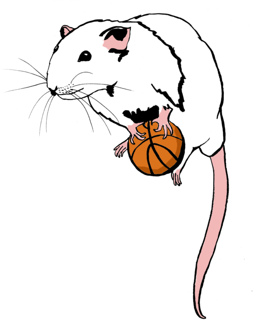 Basketball Rat