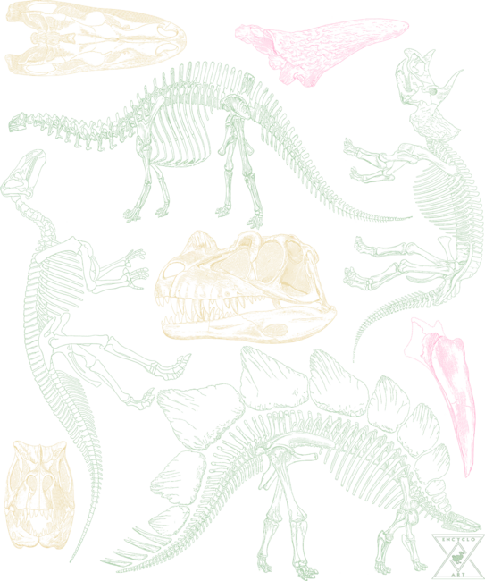 Archeologists Dinosaur Skeleton Fossil Collection by encycloart