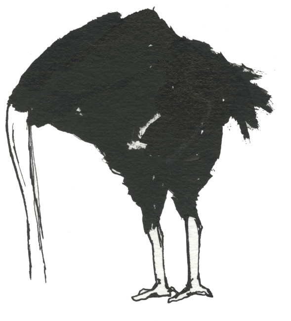 Ostrich Doodle
