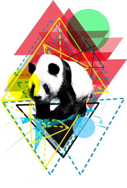 Adventurous Panda