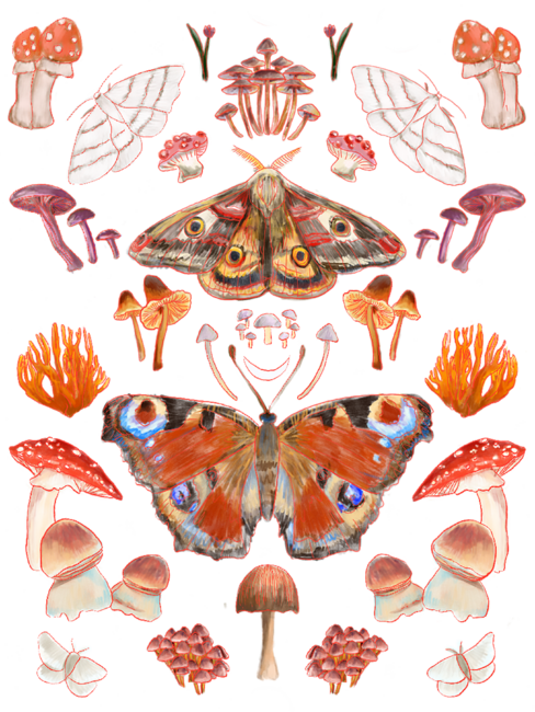 Moth and Mushroom Magic Fall Pattern