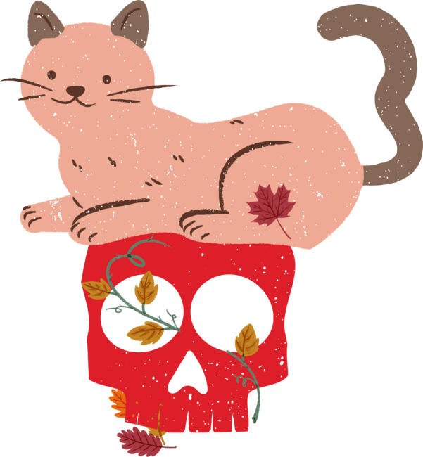 Cat sitting on the skull