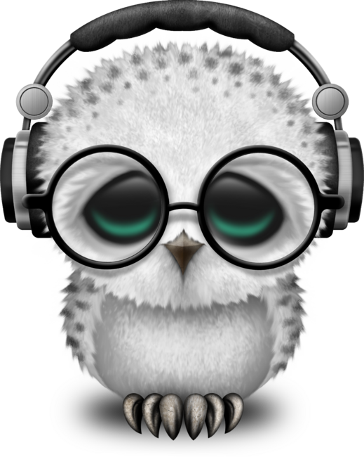 Cute Baby Owl Dj Wearing Headphones by jeffbartels