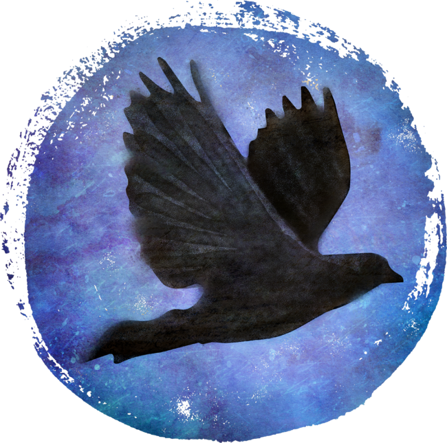 crow/raven in flight... soar