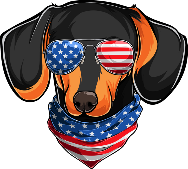 4th Of July Black Dachshund Dog
