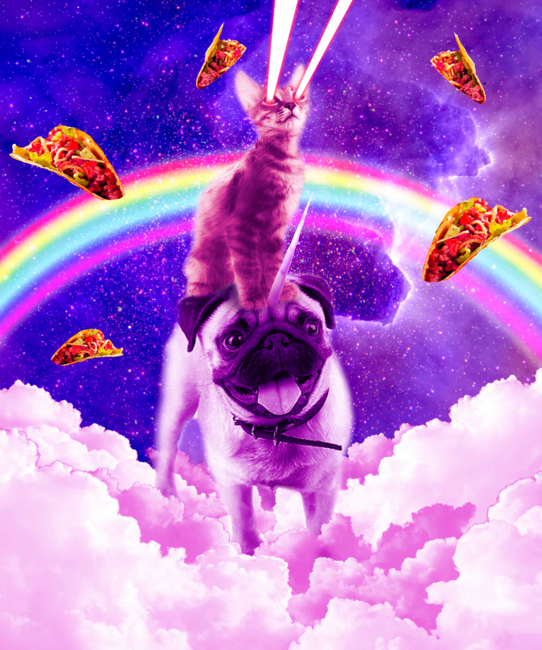 Cosmic Cat Riding Unicorn Pug