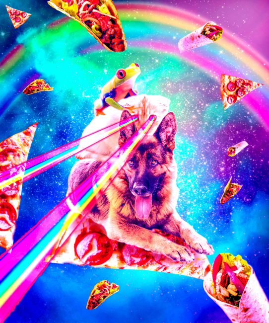 Frog Riding Laser Eyes Space Cat And Dog