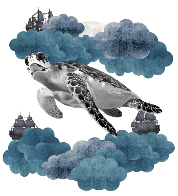 Oceanic Sky - Sea Turtle
