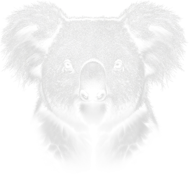 Cute Koala Bear Portrait in Realistic Drawing Style by AlunderART