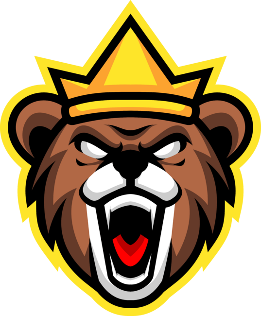 Angry Bear King