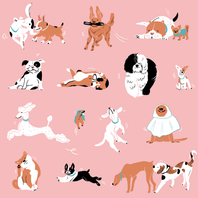 Dogs, Dogs, Dogs Pattern