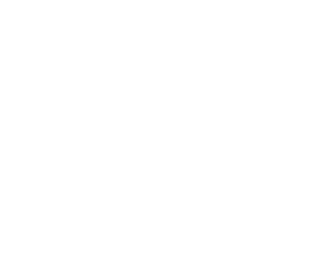 succeed and conquer