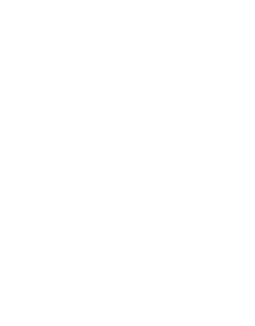 Happiness Is Camping With My Dog