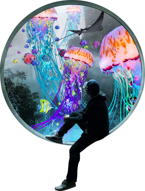 the Jellyfish Portal