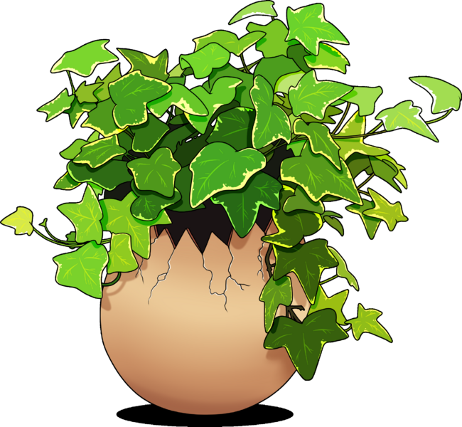 Ivy Plant