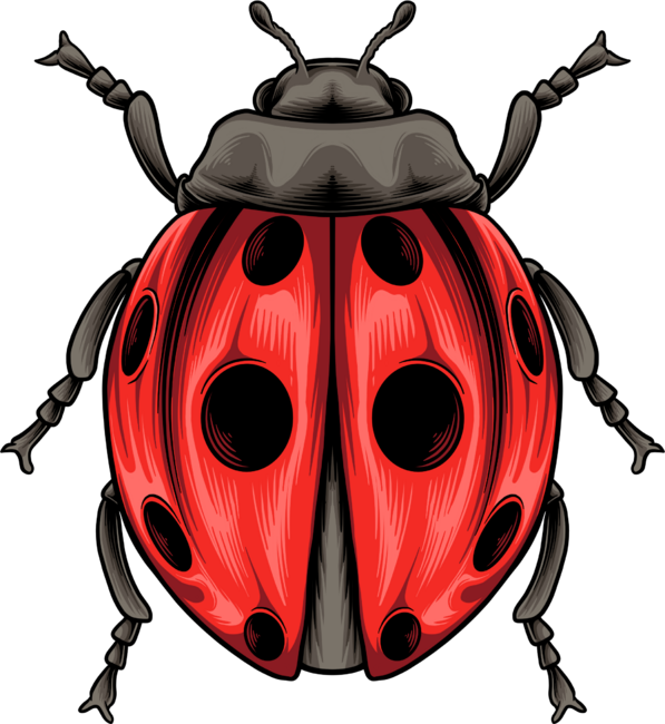 Ladybug by arjanaproject