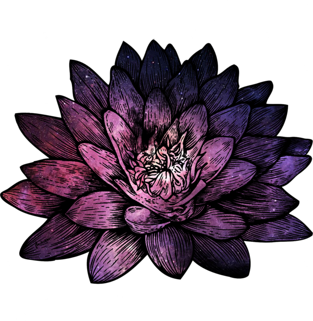 Cosmic Flowers - Lotus
