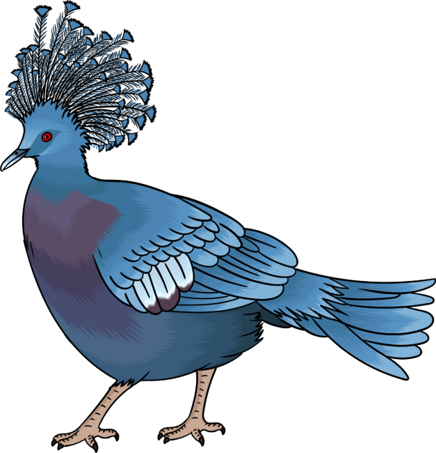 Victoria crowned pigeon bird cartoon illustration