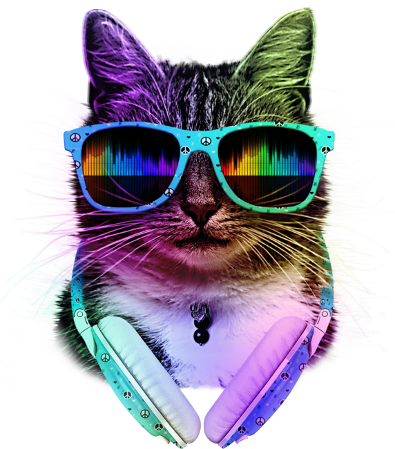 Cool Dj Cat With Glasses And Headphones