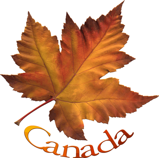 Autumn Canada Maple Leaf Souvenir