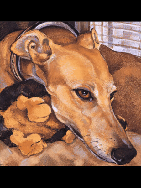 Greyhound Grace by VisionaryDog
