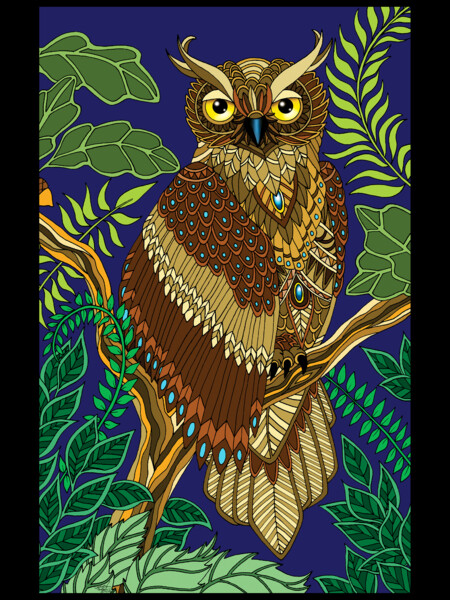 Forest Night Owl