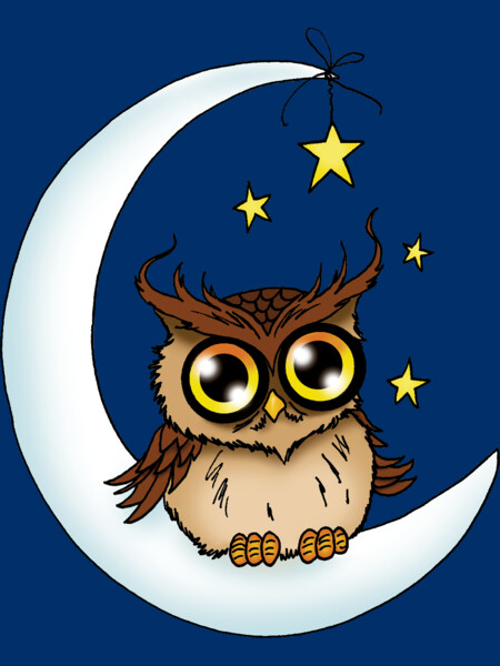 Owl on the Moon