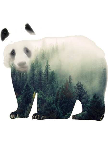 Panda Nature Forest