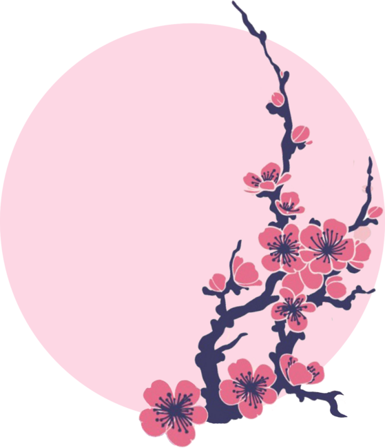 Pink Sun Sakura Cherry Blossom