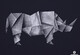 Rhinogami