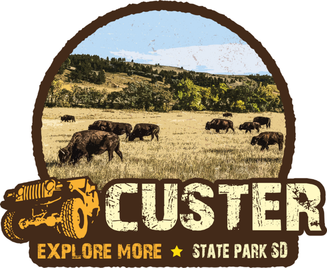 Custer State Park South Dakota by PLOXD