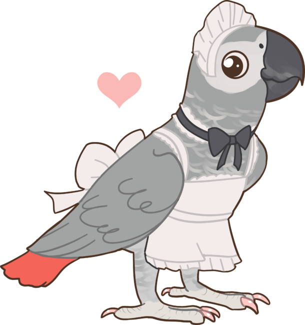 African Grey Maid Bird