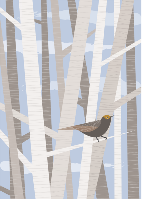 Bird in trees by MelissaPigois