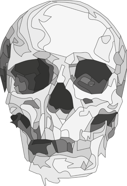 Skull - Greyscale