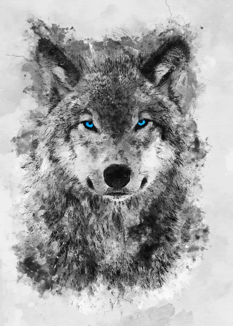 White Wolf with Blue eyes
