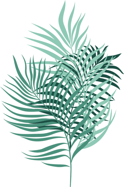 Jungle Secret (Palm Leaves Pattern)