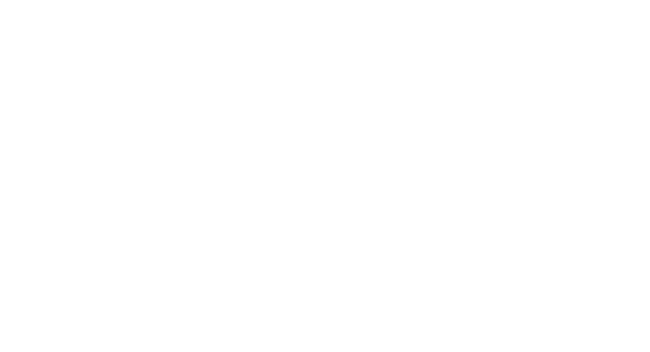 Taijutsu User