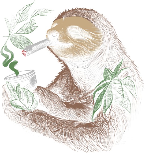 sloth smoking weed