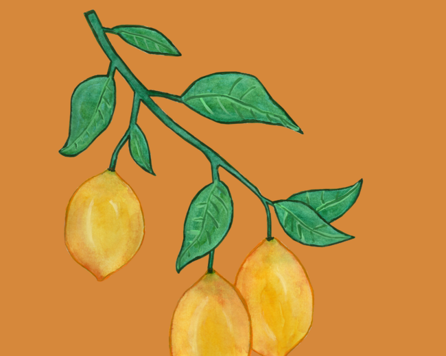 Lemons by maddlebaddadle
