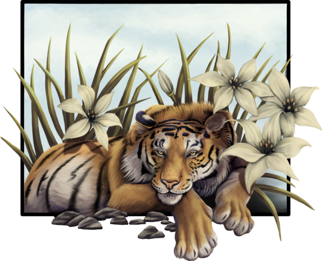 Tiger and Lilies