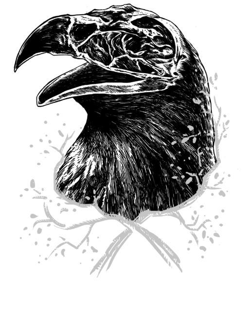 Black eagle by bricx